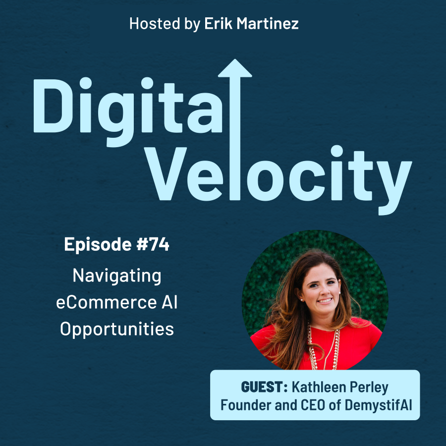 Digital Velocity-74-Kathleen Perley-Navigating eCommerce AI Opportunities