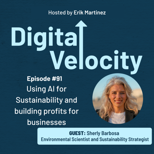 digital velocity agency episode-91-Using-AI-for-Sustainability-and-building-profits-for-businesses-with-Sheryl-Barbosa